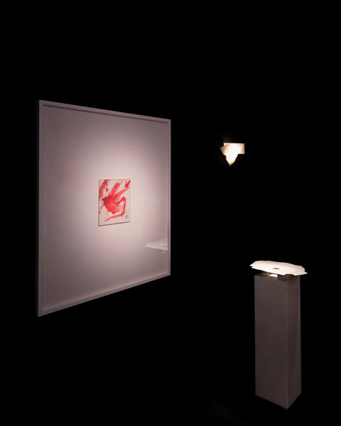 KAZUO SHIRAGA - WORK