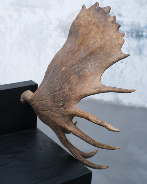 RICK OWENS - TOMB STAG CHAIR LEFT