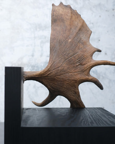 RICK OWENS - TOMB STAG CHAIR LEFT