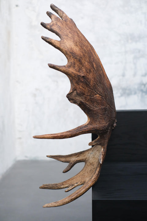 RICK OWENS - TOMB STAG CHAIR RIGHT