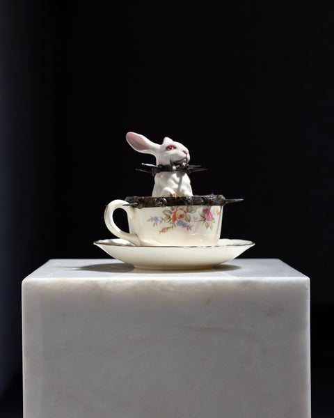 GLEN MARTIN TAYLOR - A DARKER BUNNY