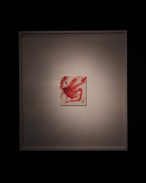 KAZUO SHIRAGA - WORK