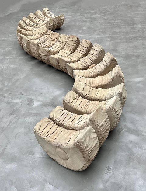 MARZIO CECCHI - SERPENTE