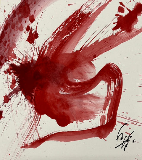KAZUO SHIRAGA - WORK